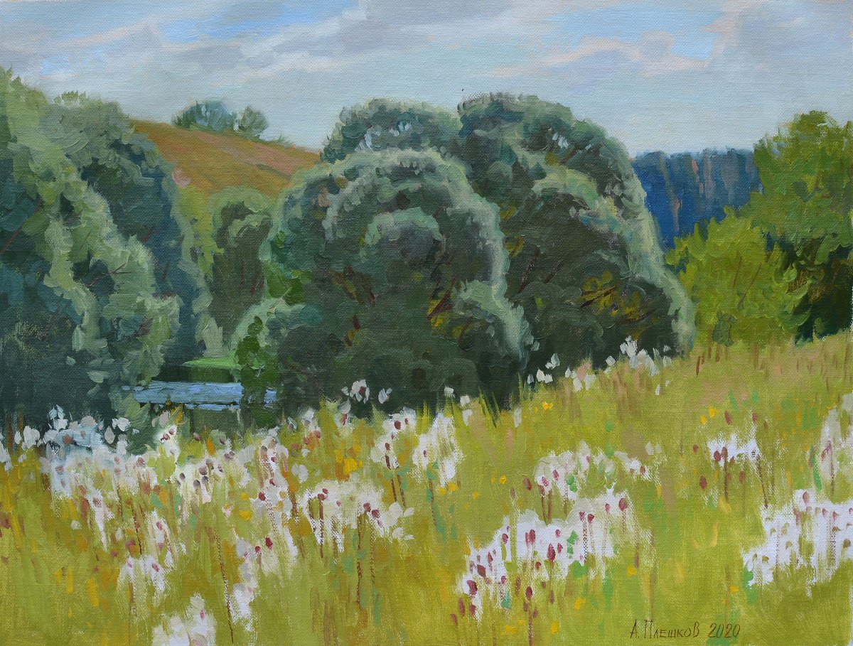 The bank of Oka river by Alexey Pleshkov