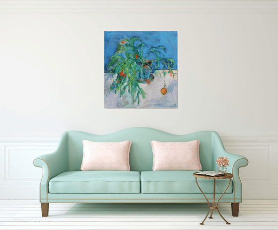 Schlumbergera. Christmas Cactus