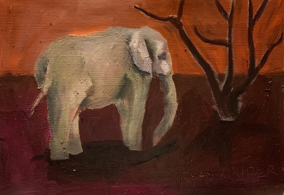 Elephant by the River