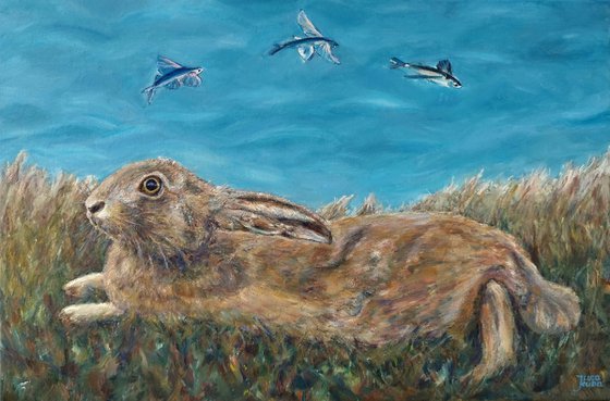 Hare and Fish