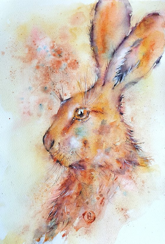 Hare