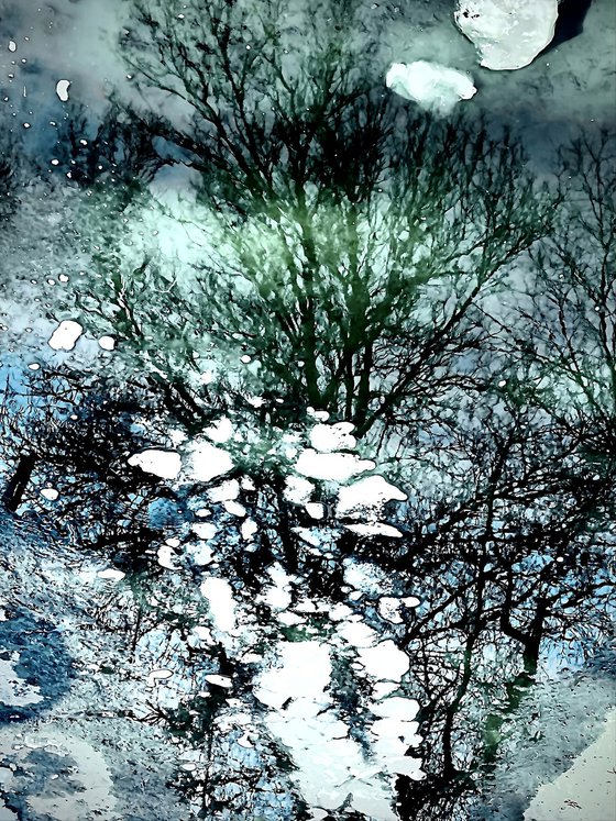 Enchanted Reflection