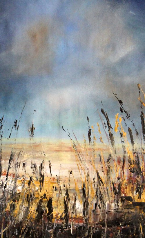 Of Desolation by Cecilia Frigati