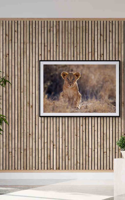 Mother's Pride by Nick Dale