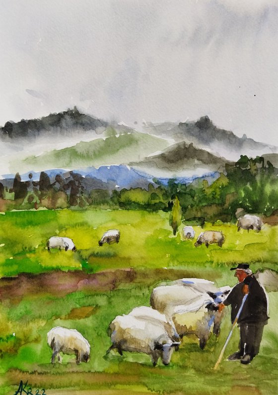 Scottish landscape with sheep