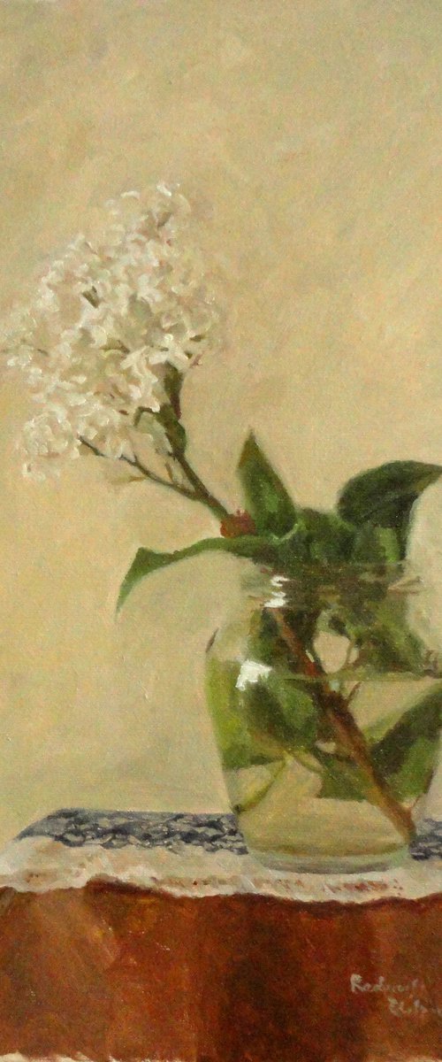 White Lilac by Radosveta Zhelyazkova