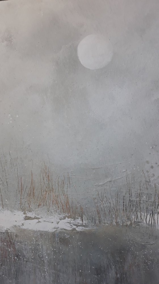 Winter Moon ...Winter Marshes....