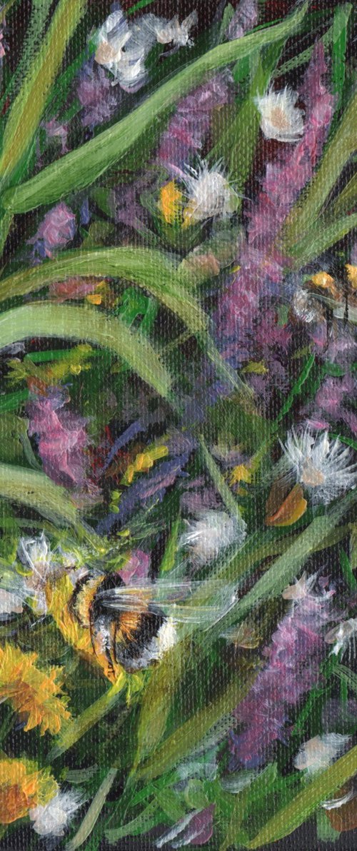Summer Verge by Sarah Stowe