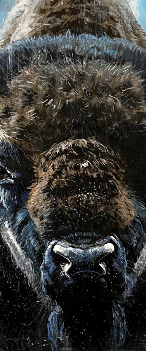 Silence in the Storm by Paul Cheng