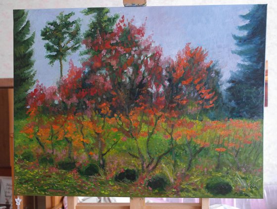 Autumn Landscape