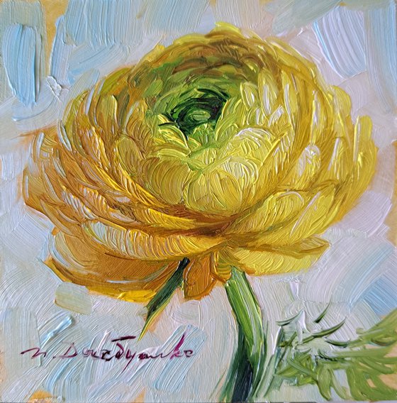 Ranunculus yellow flower