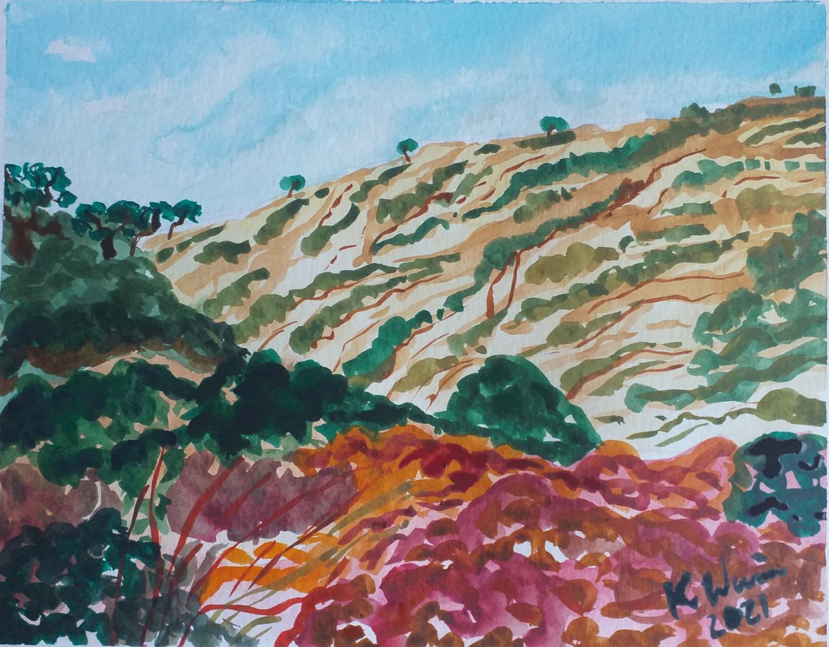 Hillside at Bahia las Rocas by Kirsty Wain