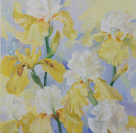 ”Where the Light Blooms”