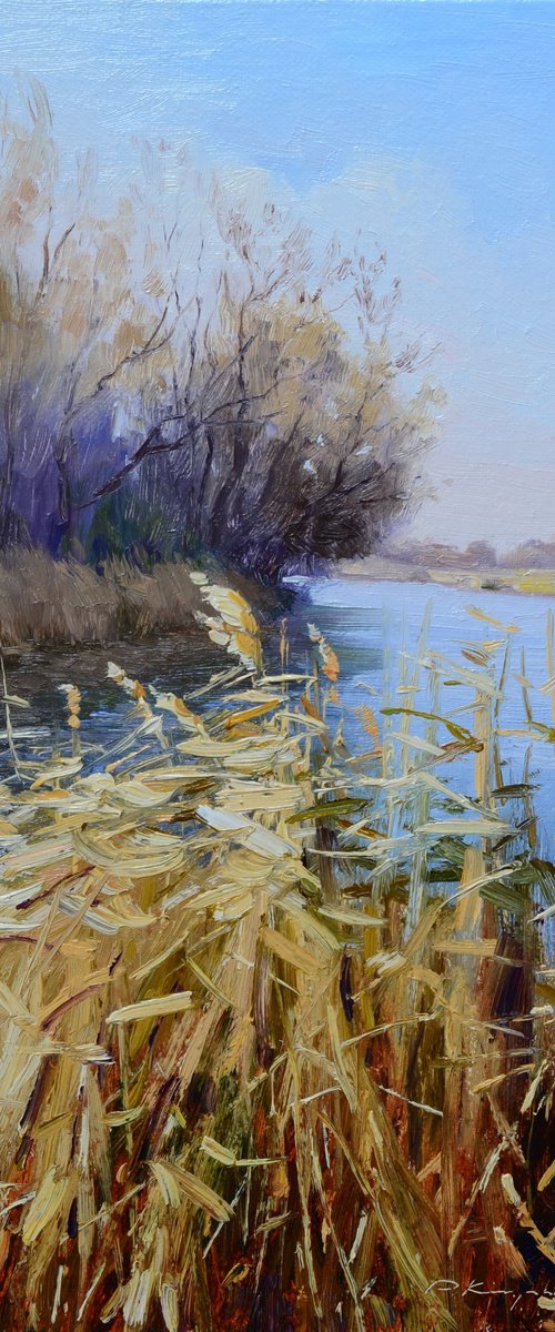 Last year's reeds by Ruslan Kiprych