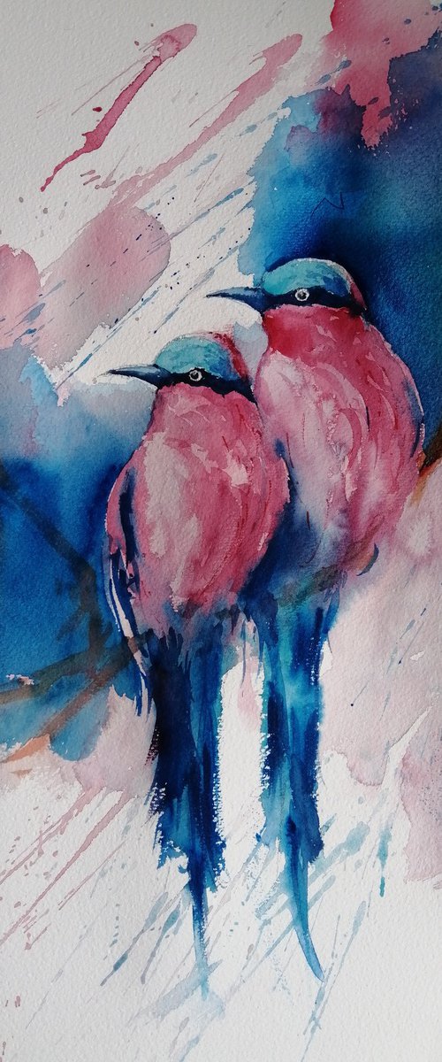 Carmine bee-eater by Giorgio Gosti
