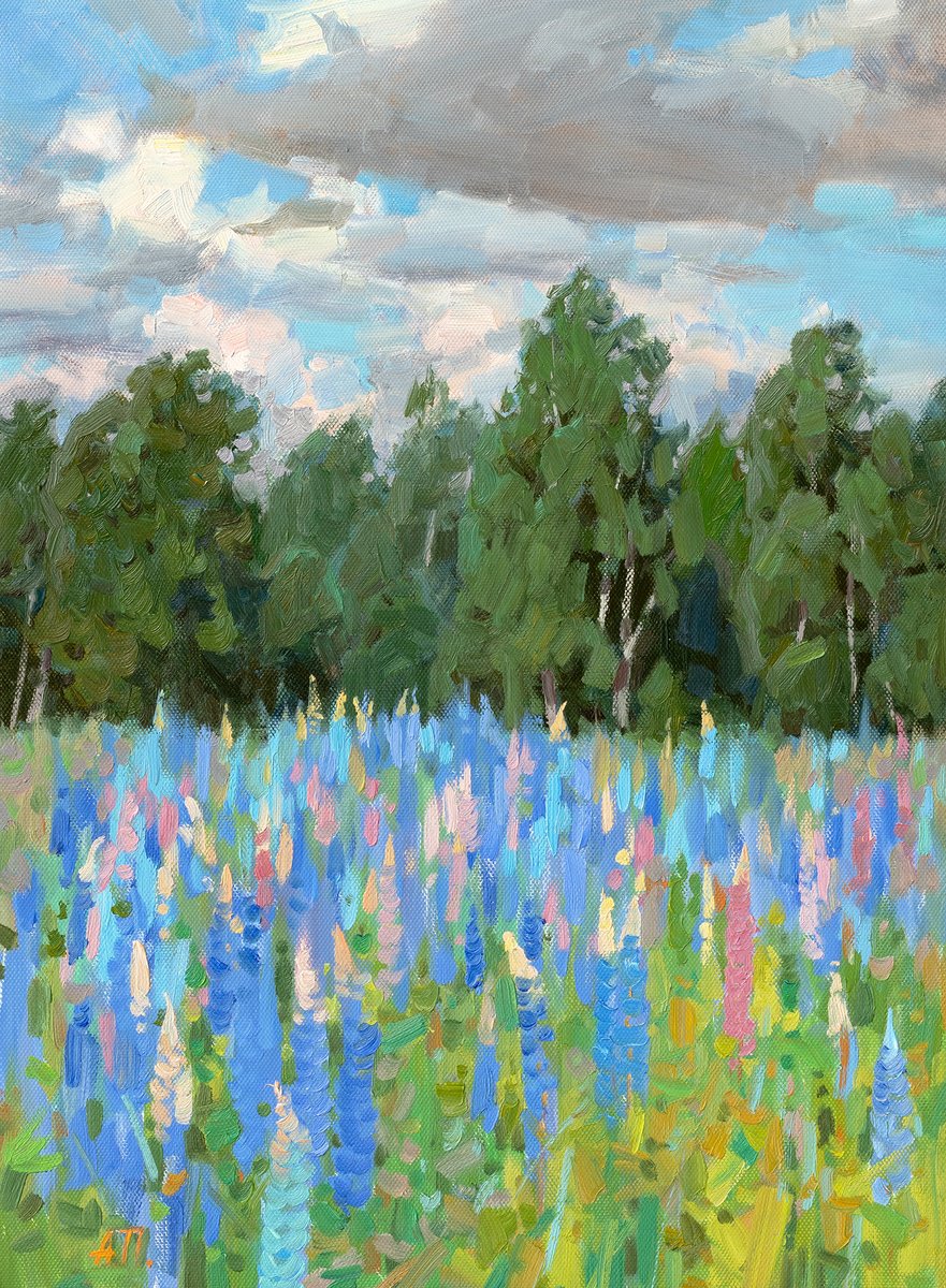 The sky in the grass by Alexey Pleshkov