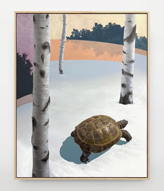 Can't See the Wood for the Trees