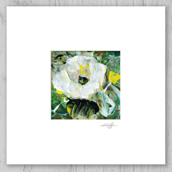 Blossoms Of Love Collection 5