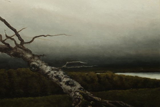 Trees. A Triptych