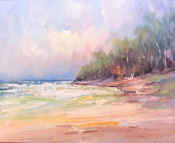 Noosa's Main beach No 9