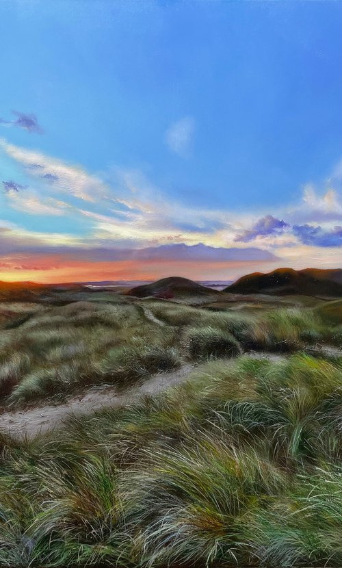 South of Netherlands by Farzaneh Maddahi