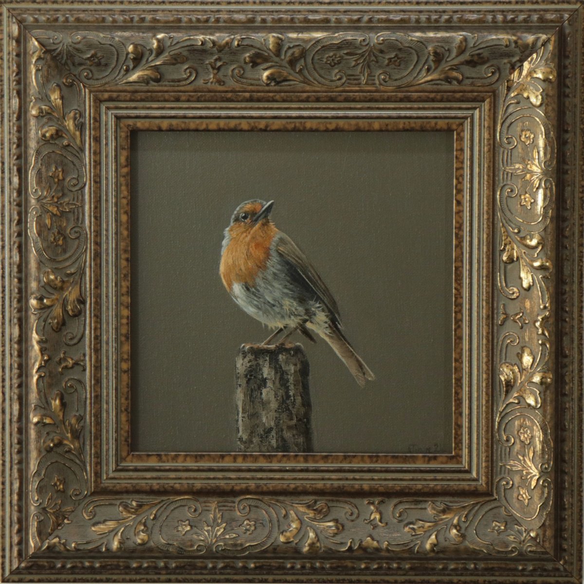 Asa Robi Red Robin Standing Proud Oil painting by Alex Jabore | Artfinder