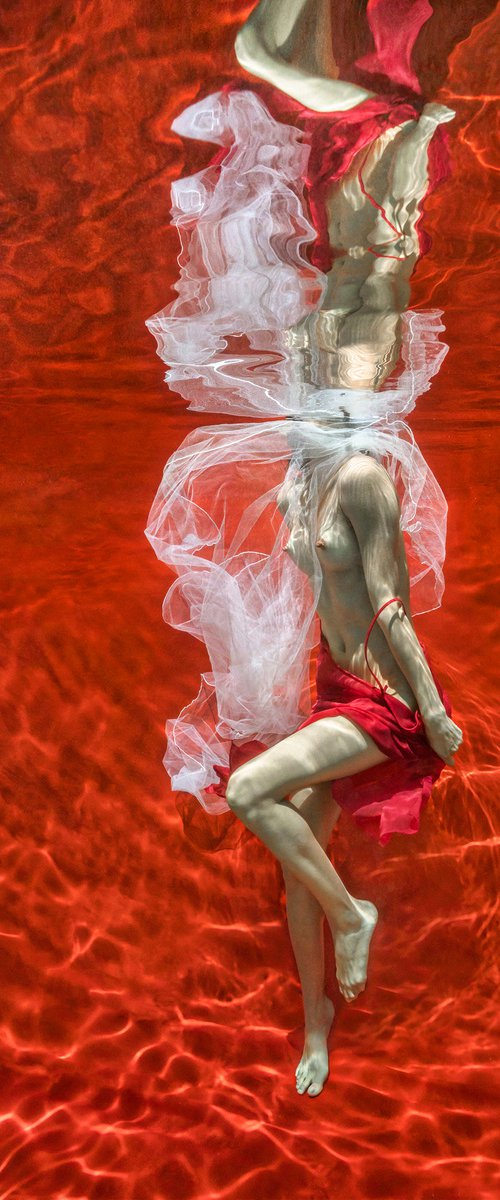 Blood and Milk III - underwater photograph - print on paper by Alex Sher