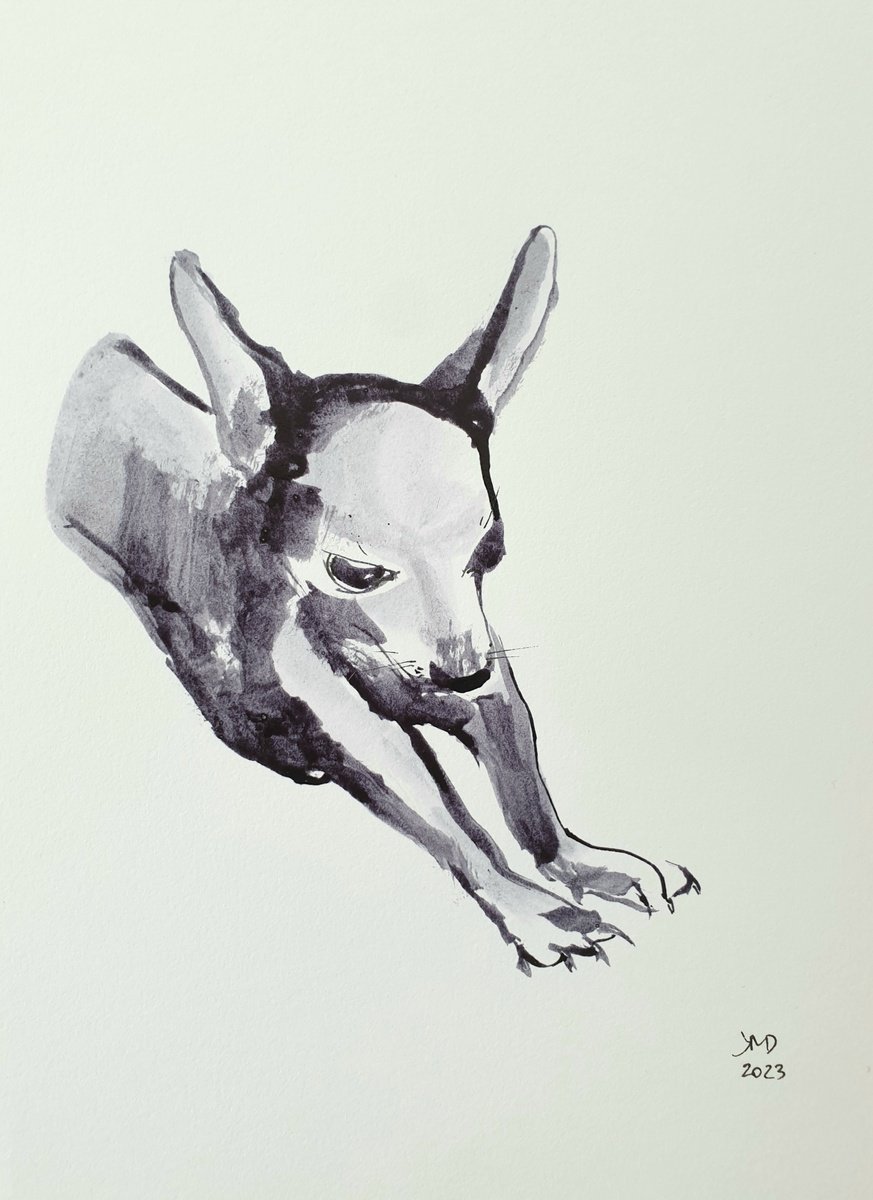 Expressive Animal Ink Drawing By Ksenia June, 6 X 8", Chihuahua Portrait, Original Artwork