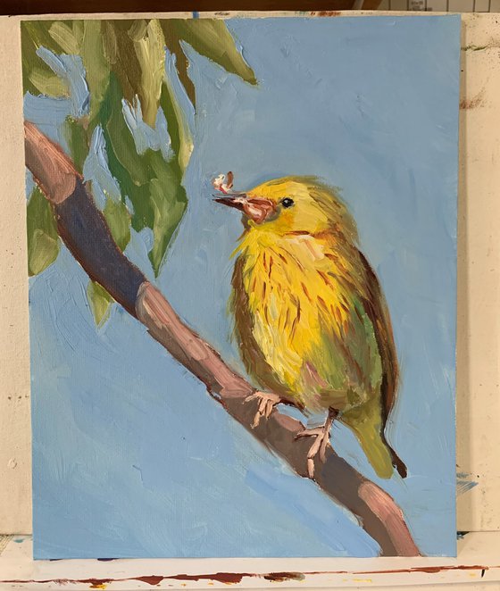 Yellow bird.