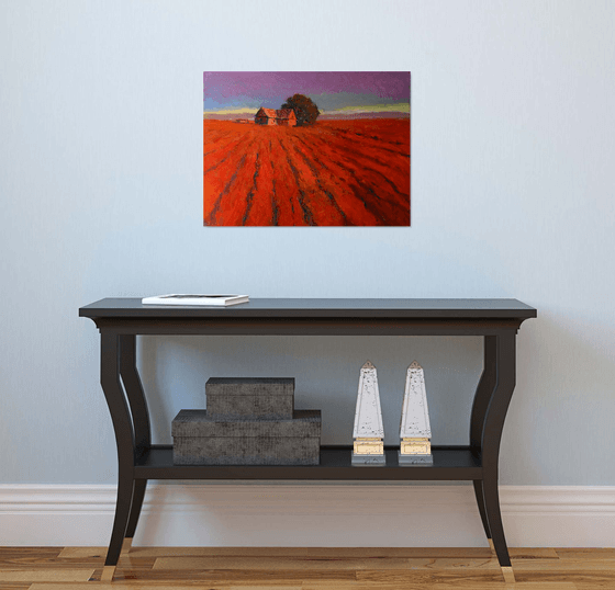 Dusk in the Farms. Red Farmland