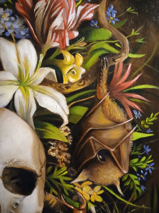 Sleeping bat