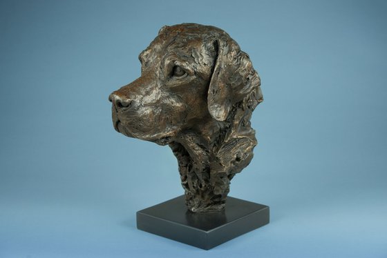 Labrador Portrait 3 BR