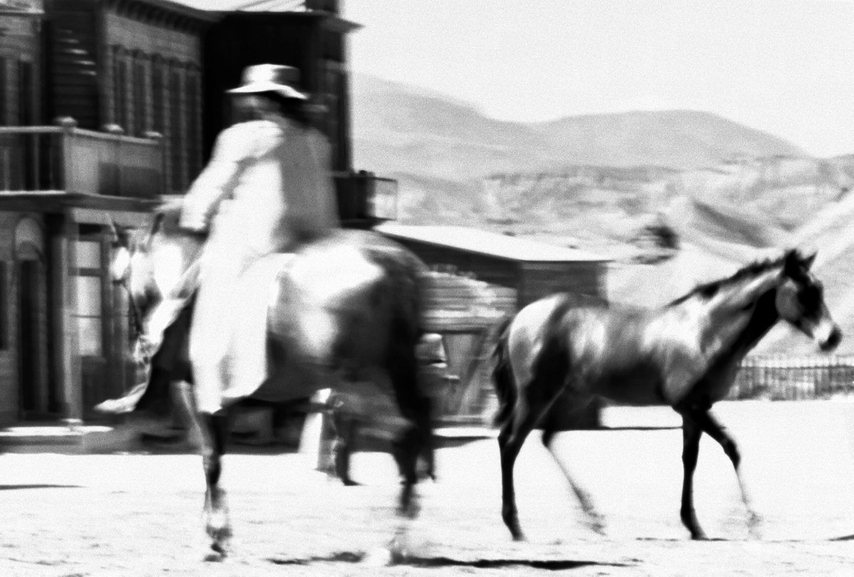 Expressive Animal Photograph By Lionel Le Jeune, 30 X 20", Cowboy, Original Artwork