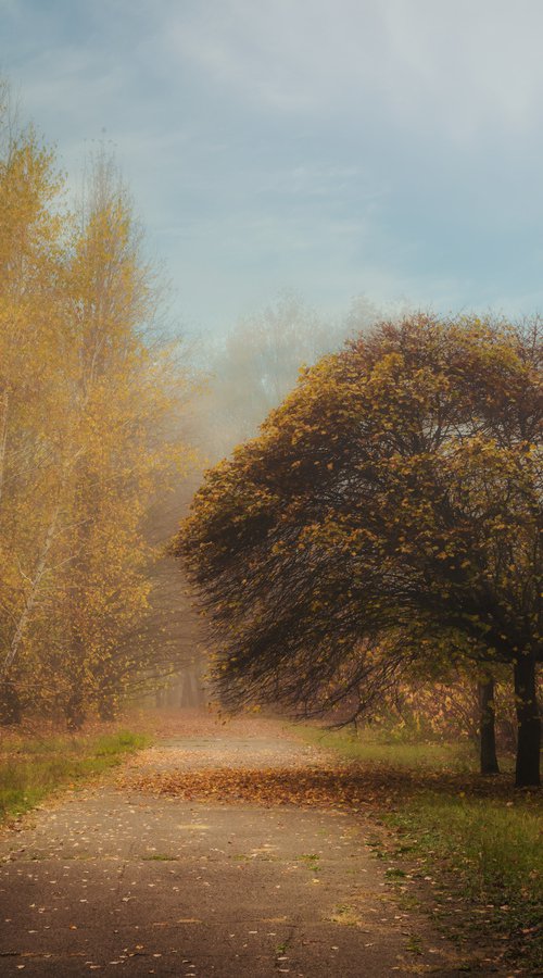 November fog by Vlad Durniev