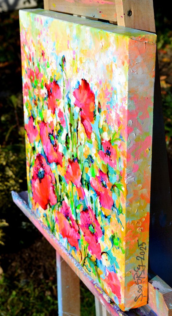 Red Opium Poppy Field