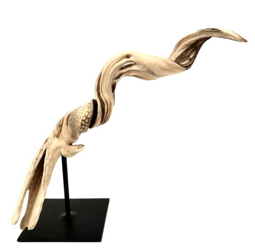 Hymalayan bird by Eleanor Gabriel