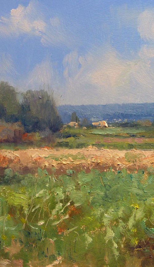 Fields in Provence near Sisteron by Pascal Giroud
