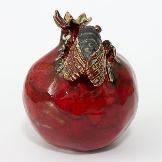 Cicada and pomegranate