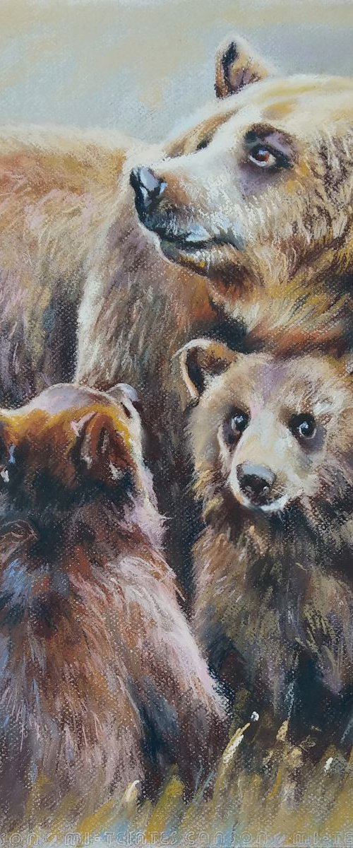 Young Bears by Magdalena Palega