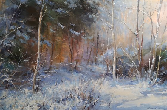 Winter dream