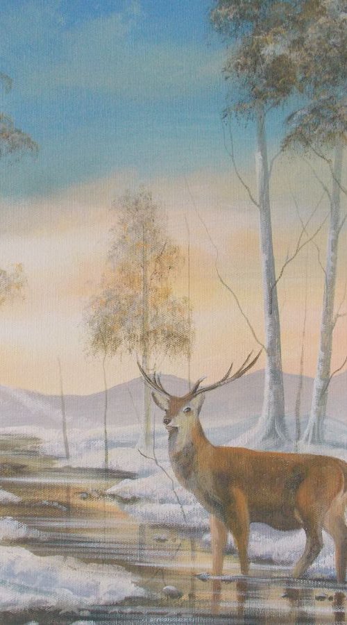 stag in the snow by cathal o malley
