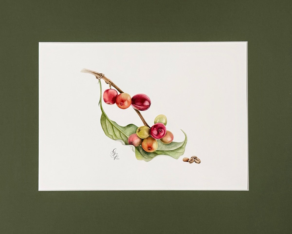 Illustrative Botanical Watercolour By Julia Gorislavska, 20 X 16", Coffee Branch, Original Artwork
