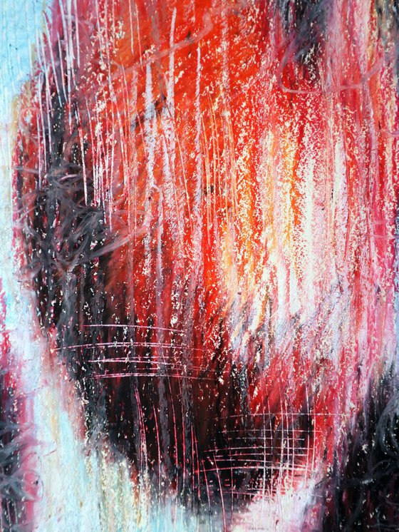 Multicolored Tulips 1