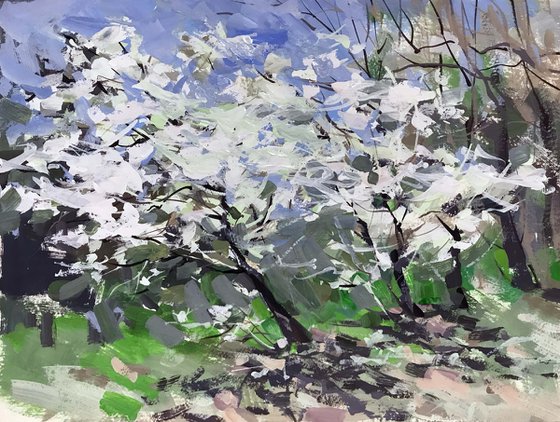 Spring cherry trees. One of a kind, original painting, handmad work, gift.