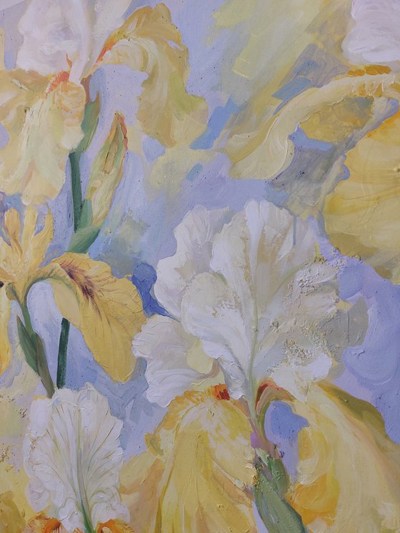 ”Where the Light Blooms”