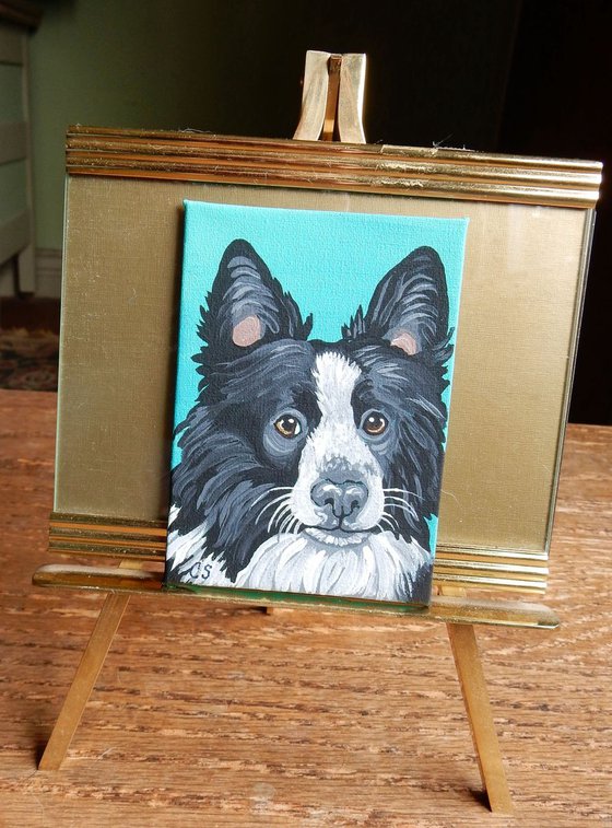 ACEO ATC Original Painting Border Collie Pet Dog Art-Carla Smale