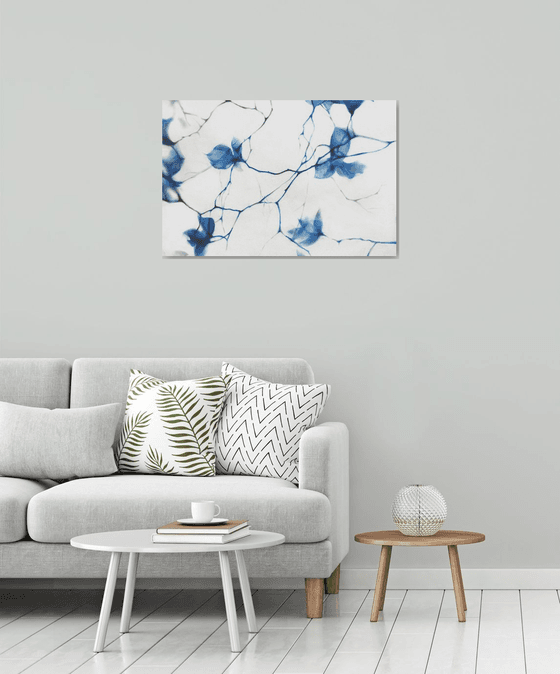 Fragile Blue Magnolia Cyanotype Style