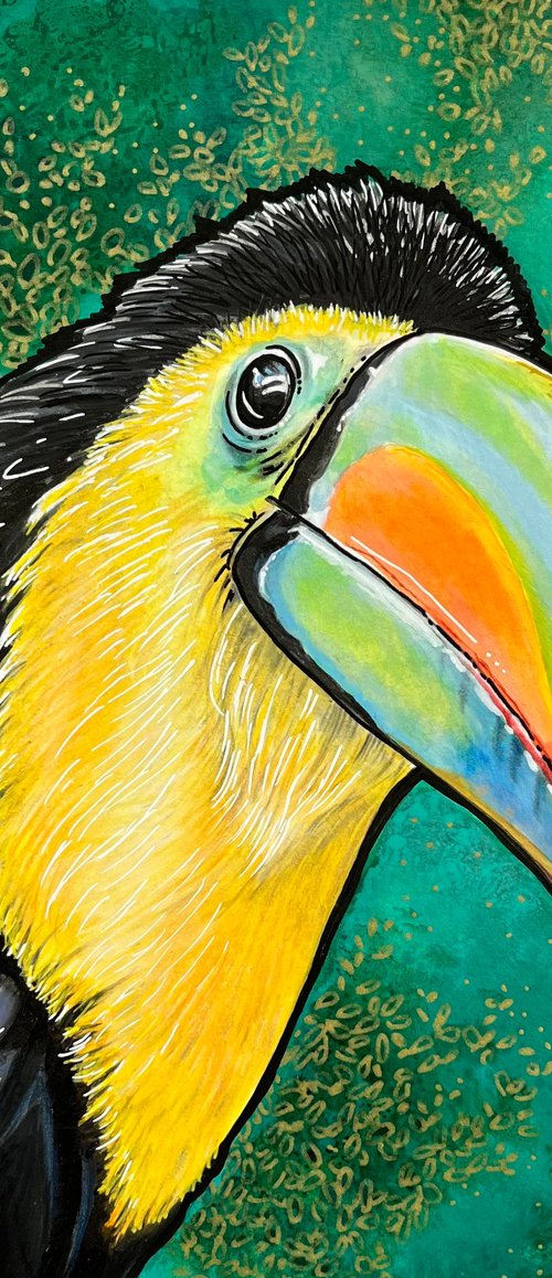 Toucan by Karen Elaine  Evans