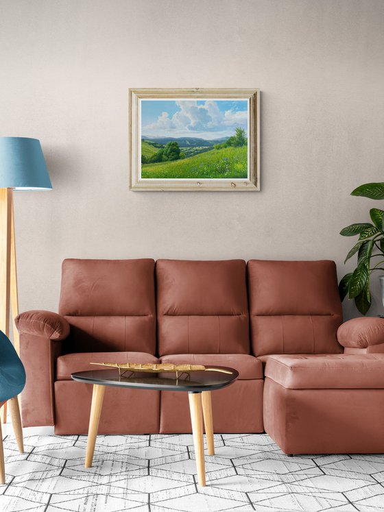 Meadows of early summer