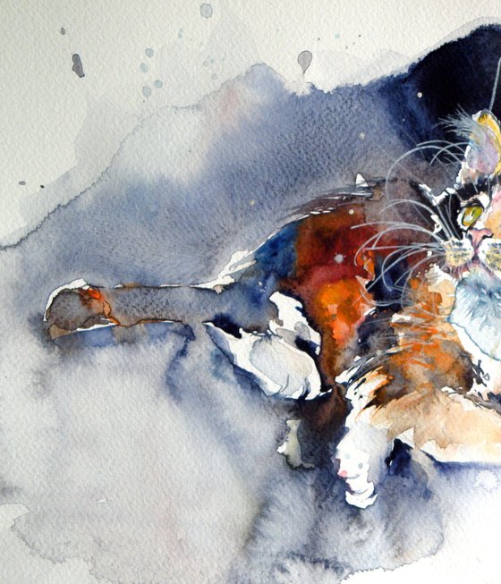 Cat resting
